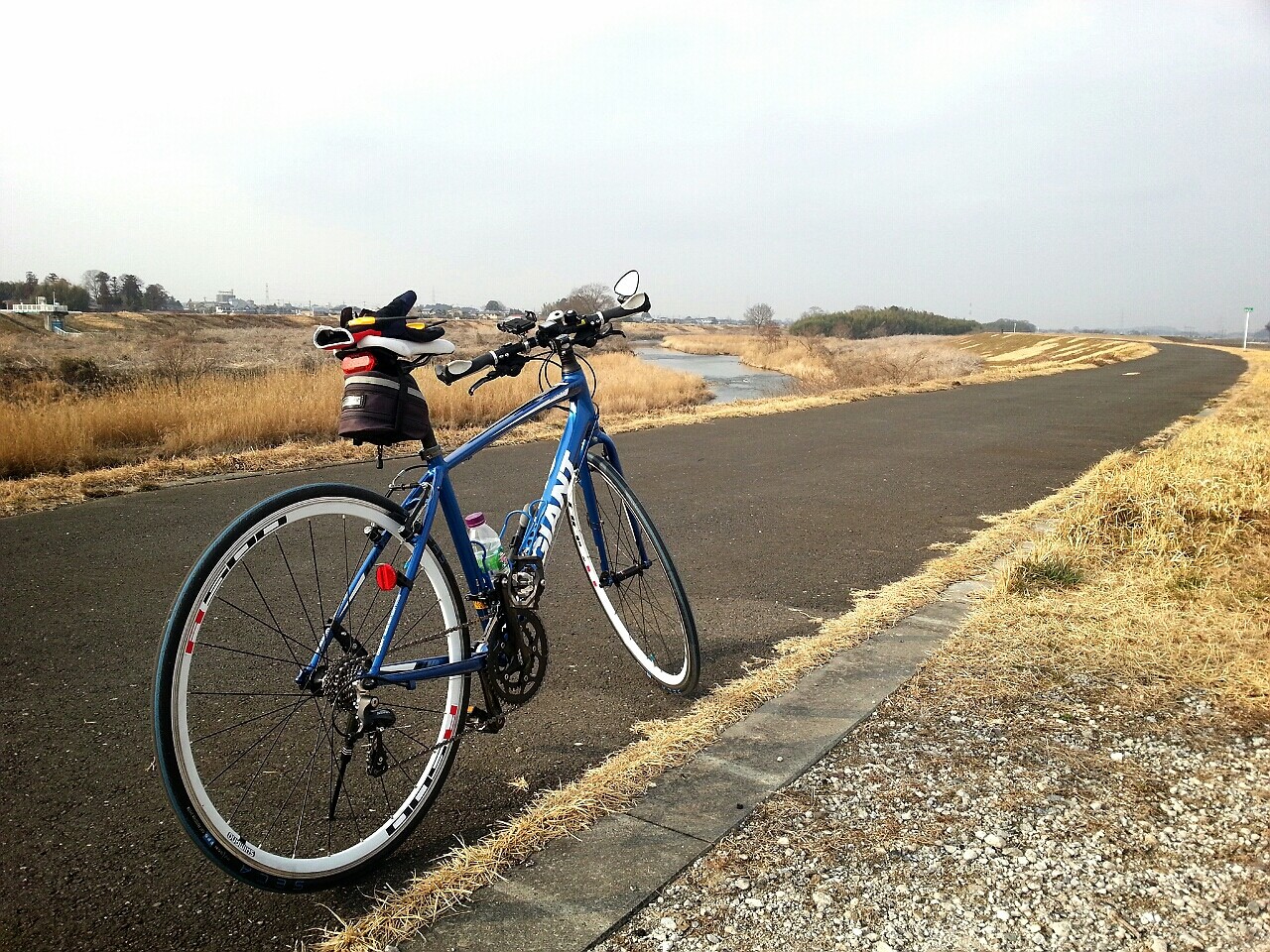 自転車 フィットネス