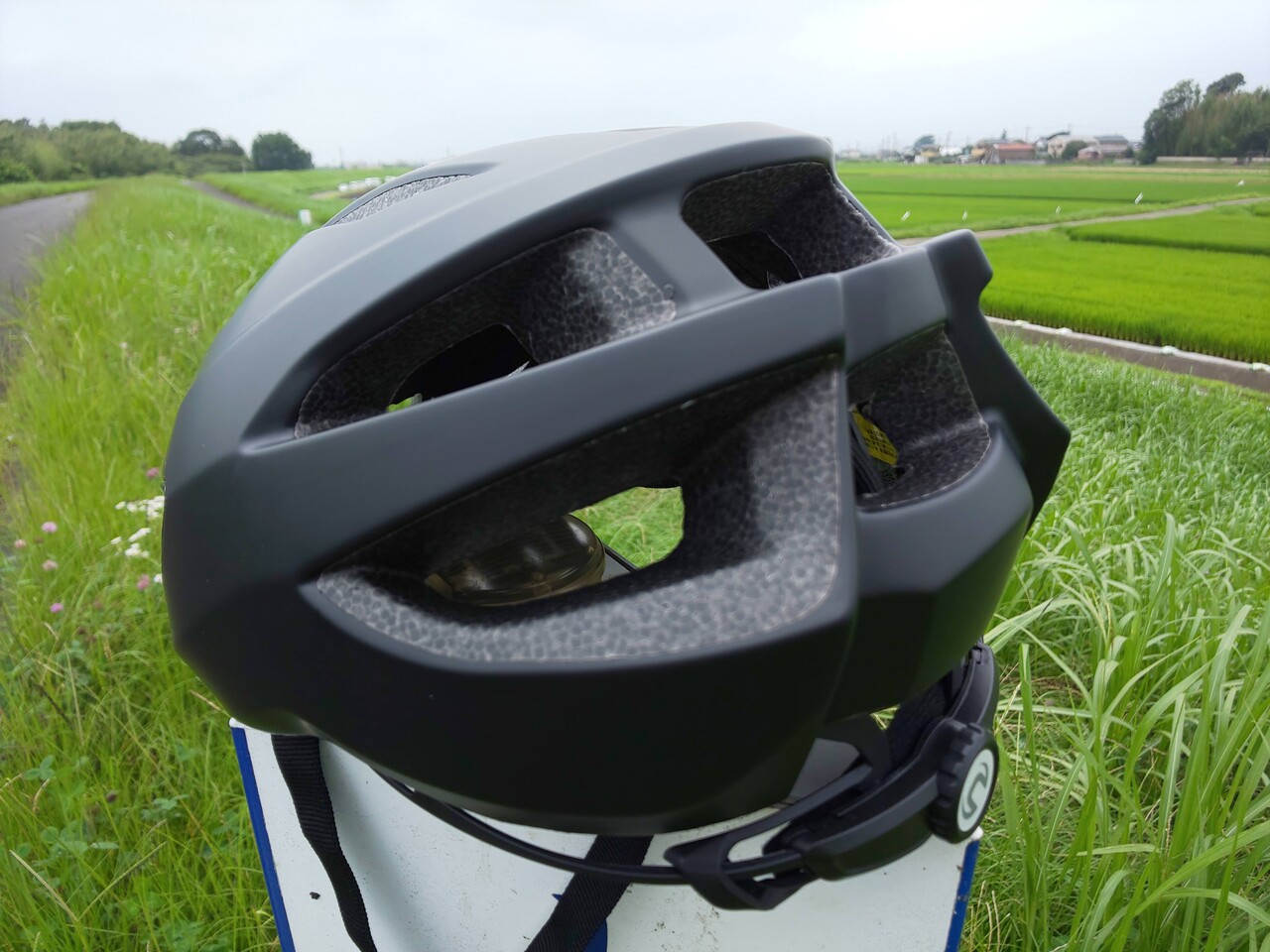 キャノンデールのヘルメット購入 自転車deフィットネス 愛犬はな日記