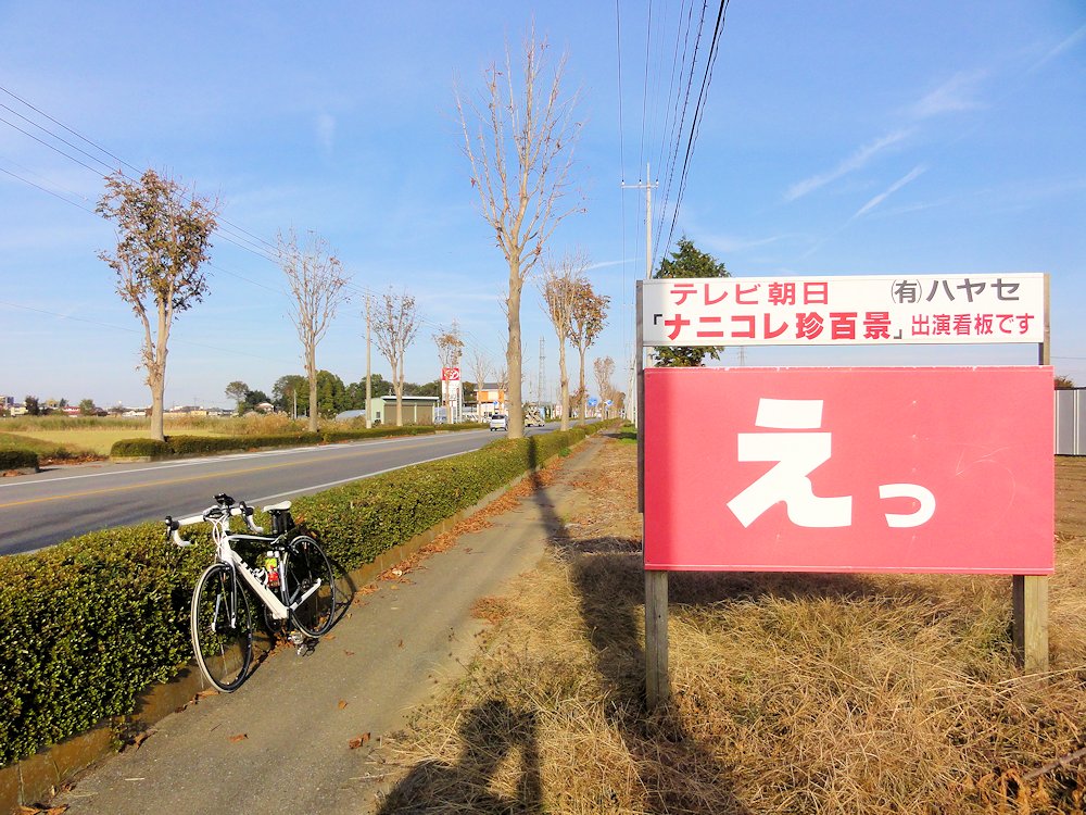 国道２９４号 バイパス 自転車