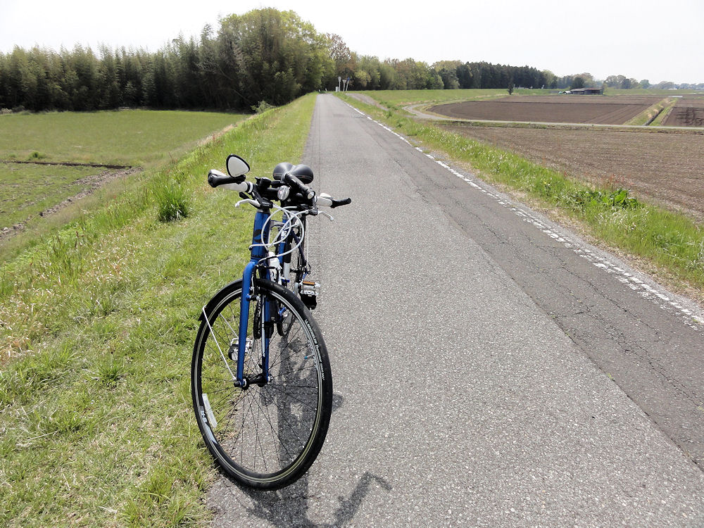自転車 フィットネス