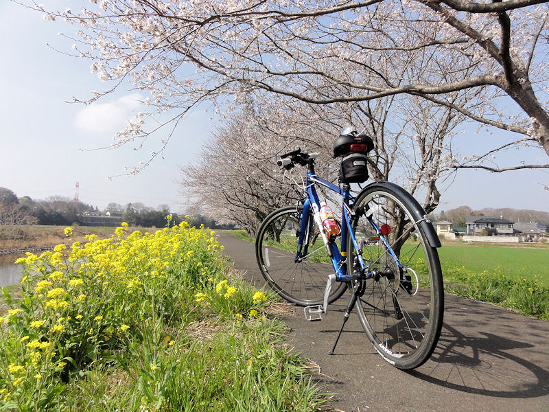 自転車 15km