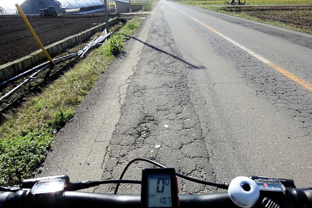 自転車を徐行して避けた