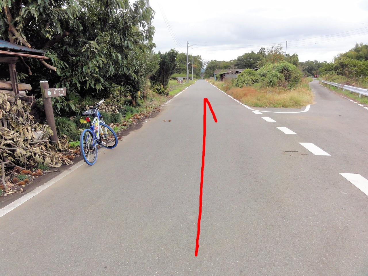 国道２９４号 バイパス 自転車