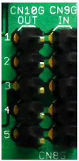 dai9