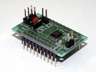 TINY261
