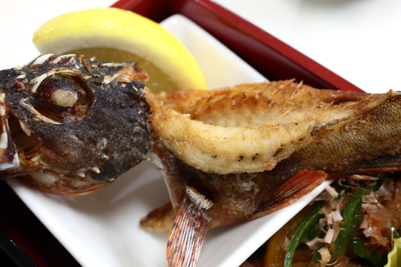 長井産カサゴの唐揚げ 和風ハンバーグ 三浦産竹の子のペペロンチーニオイル炒め なすの揚げびたし インゲンとスパムのごま油炒め ピーマン土佐煮 ゴーヤお浸し もずく酢 今日の弁当問題