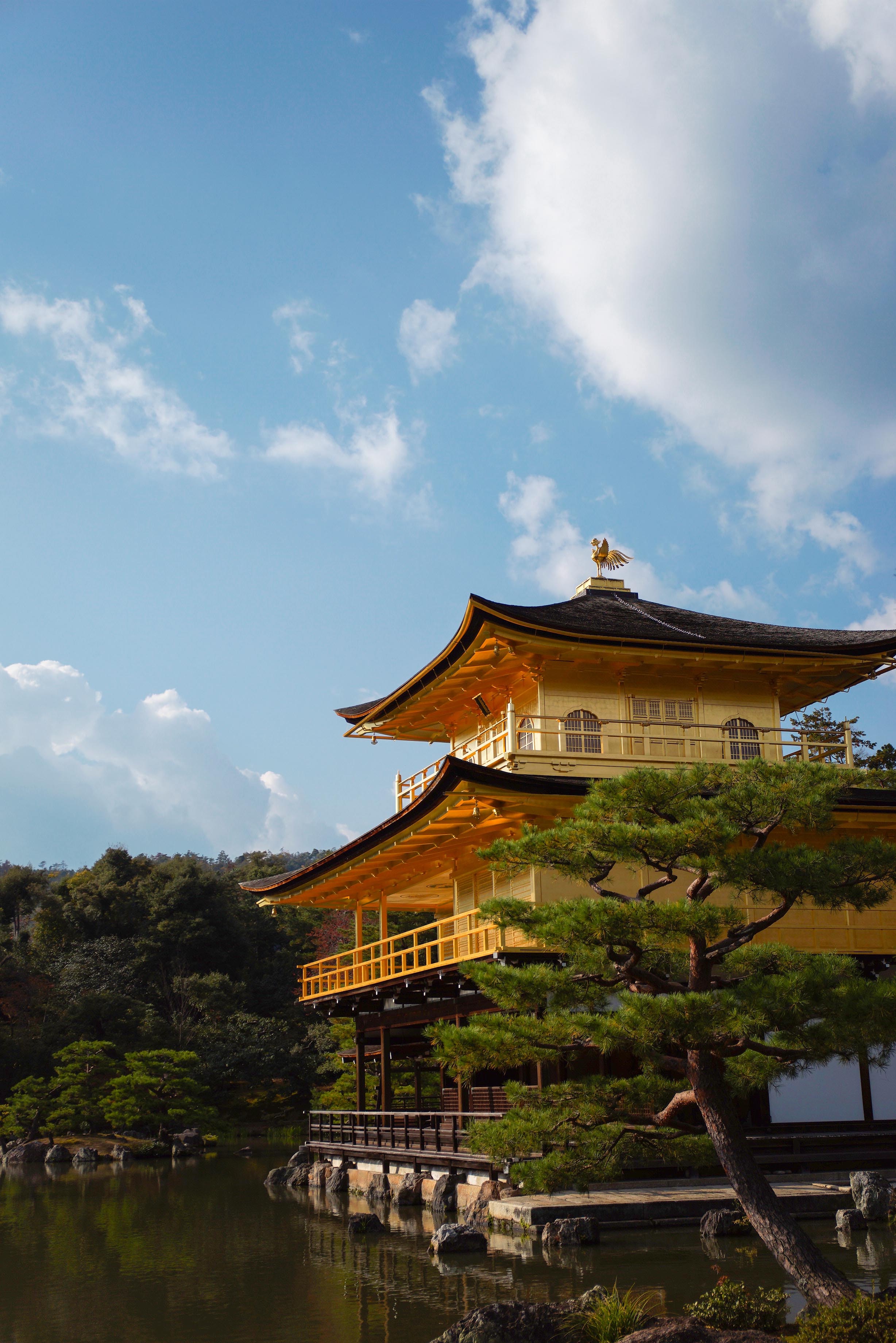 ぷーさんのデジカメ三昧