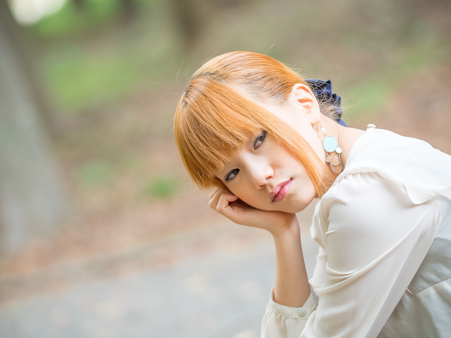 ぷーさんのデジカメ三昧 ぷーさんのデジカメ三昧