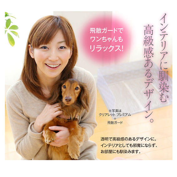 hisangard_lp00