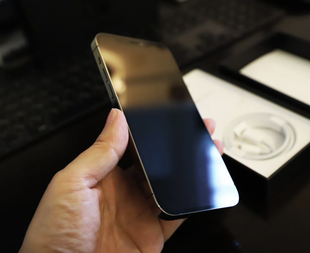 iPhone12 Pro_9508