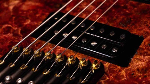 FISHMAN - Fluence Open Core Classic 8string set : 鋼鉄野郎の六弦研究