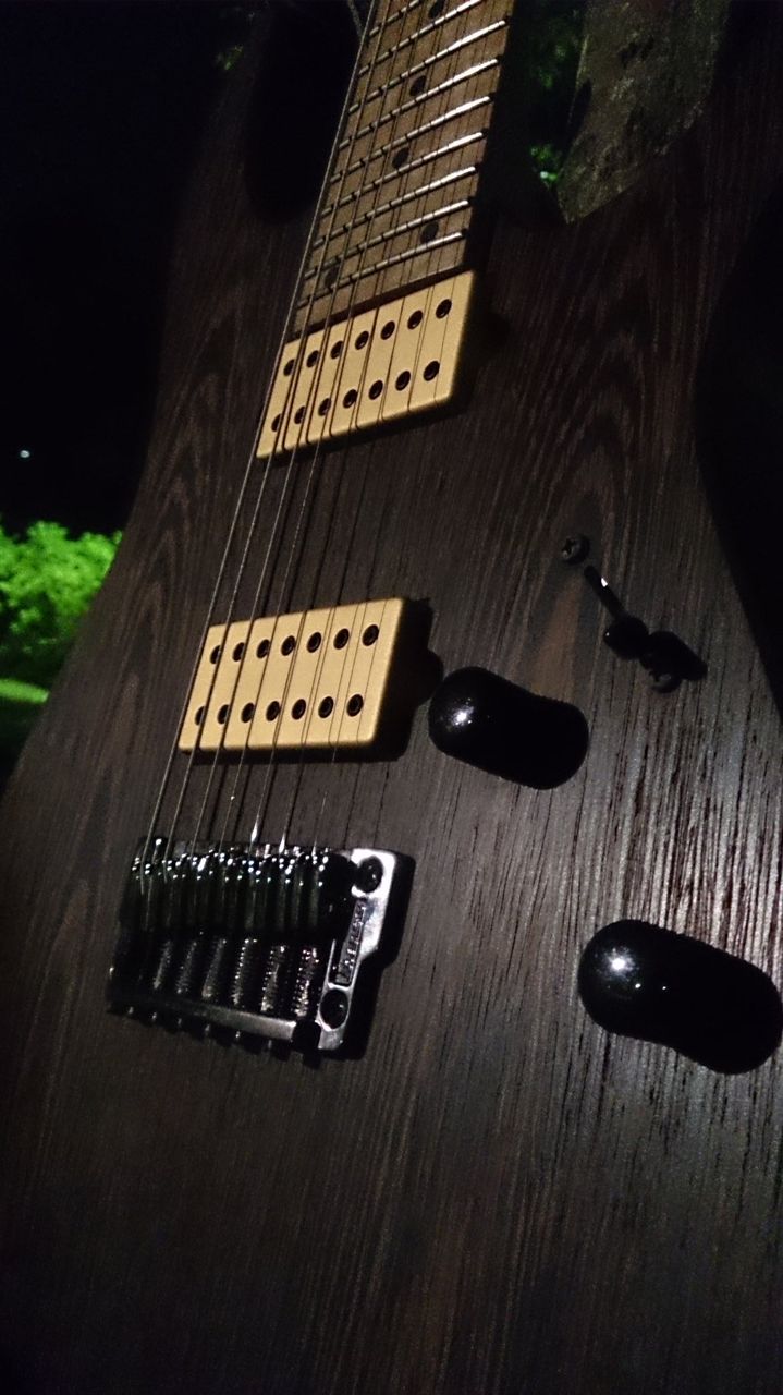 Titan 7(DP713,DP714)/Dimarzio : 鋼鉄野郎の六弦研究 Titan 7(DP713,DP714)/Dimarzio : 鋼鉄野郎の六弦研究