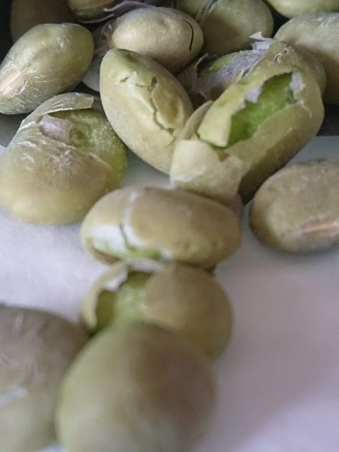 DSCPDC_0003_BURST20190330121929457_COVER