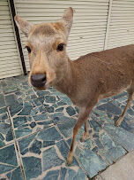 20220126_114347 (1)