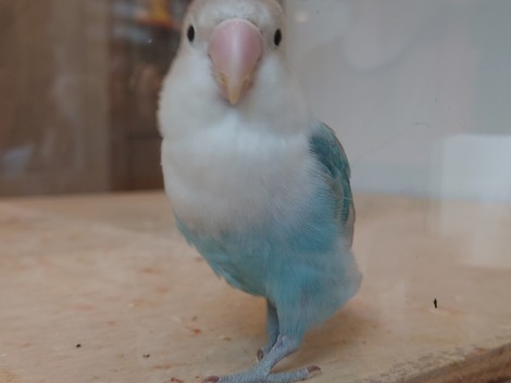 20240420_144712
