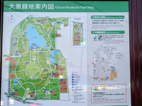 20250301_180348-EDIT