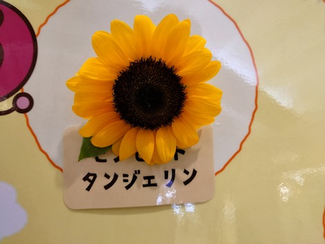 20240720_112117