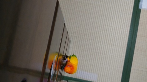 MOV_0001_60_exported_4454