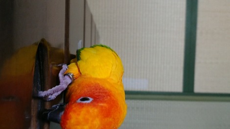 MOV_0001_60_exported_10323