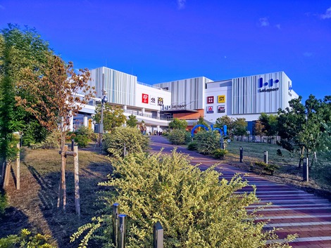 251101160724388-EFFECTS (5)