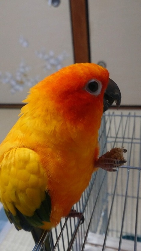 MOV_0003_9_exported_259