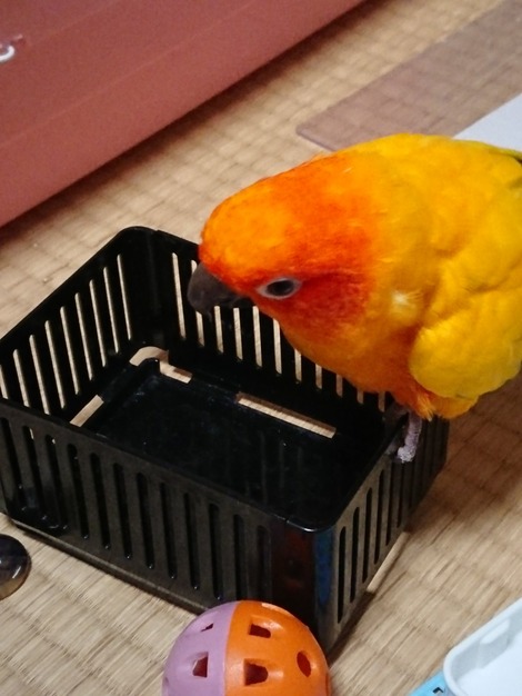 DSCPDC_0003_BURST20180301203105187_COVER