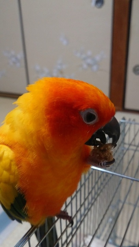 MOV_0003_9_exported_20632