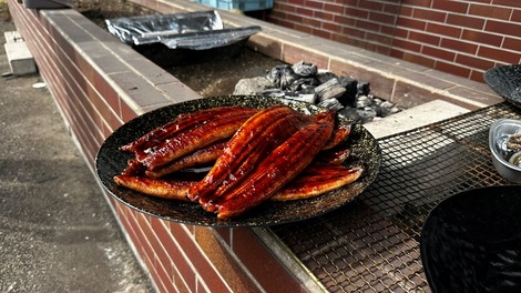 0d873f174dcae299ca336b22e6508e4e