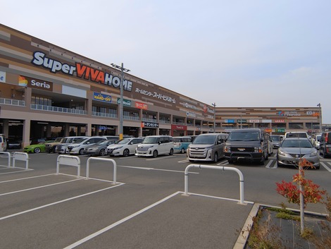 250405153253788~5 (1)