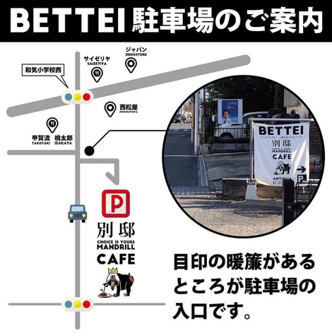 96544-135-411549dbea63f0c50e7d6b0caba661f1-1125x1137