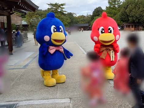 2023-11-12-10-21-23-828