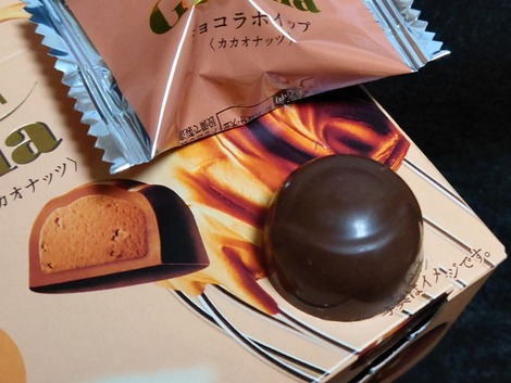 【チョコレート】プレミアムガーナショコラホイップ