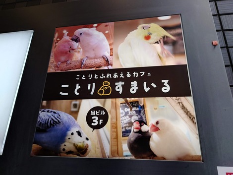 ことりすまいる