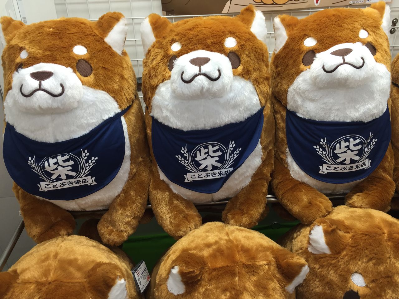 10 5 超bigもちしばぬいぐるみ入荷しました ディーノ彦根のブログ ゲームセンター 10 5 超bigもちしばぬいぐるみ入荷しました ディーノ彦根のブログ ゲームセンター