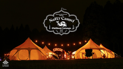 776e3e_3a2424fcedb44414aed532d487f6510f