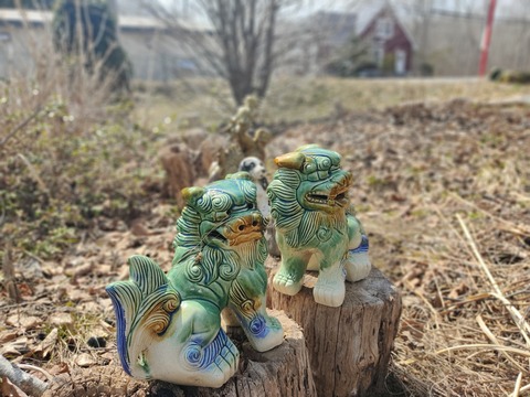 IMG_20220409_123210