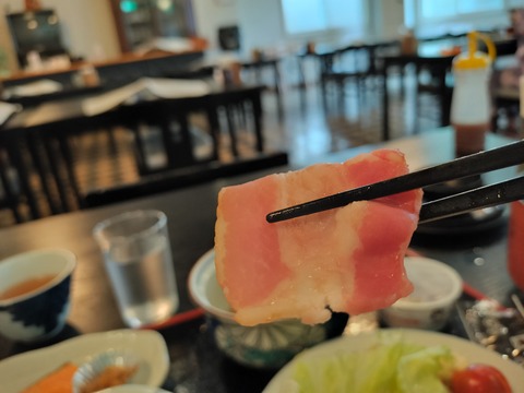 IMG20230528071123