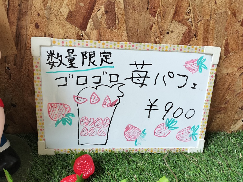 IMG20240602133522