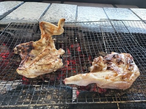 IMG20230527120114