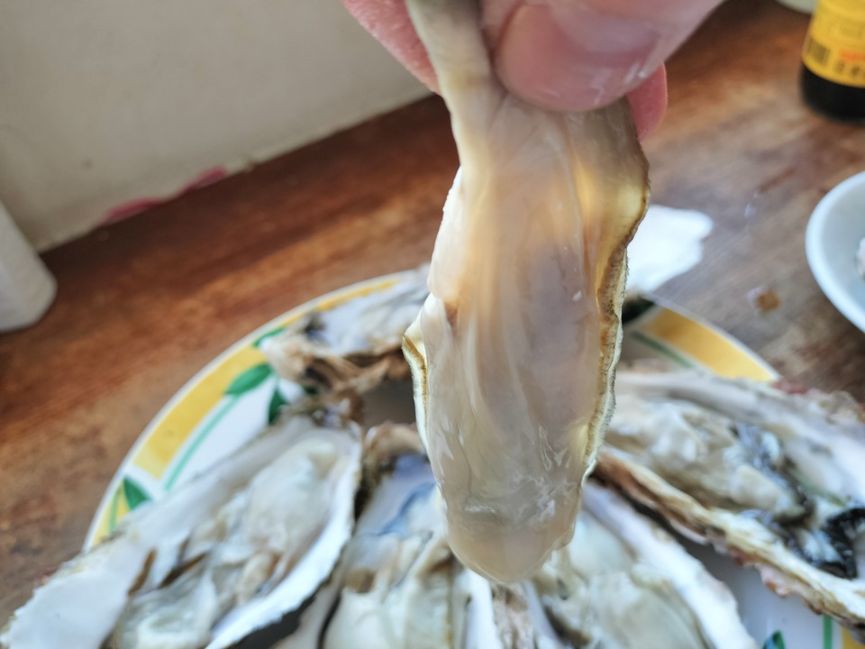 IMG20240323171024