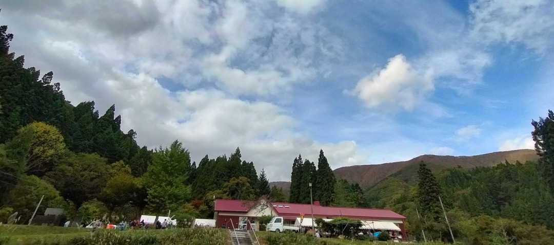 IMG20231022114941~2