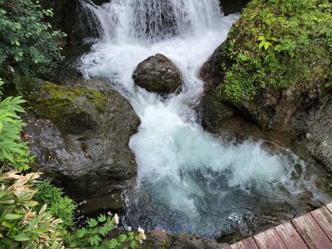 IMG20230716175202