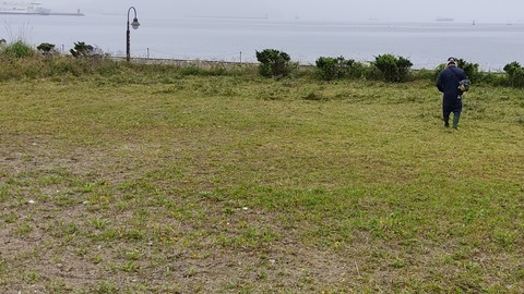 IMG_20220709_074841