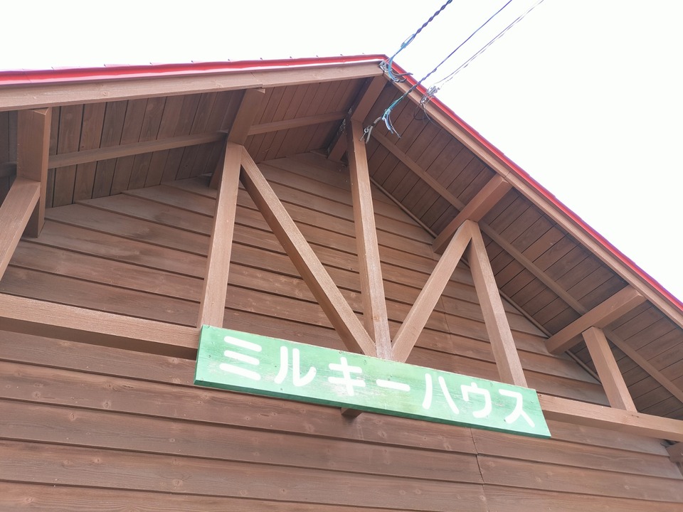 IMG20250316121305
