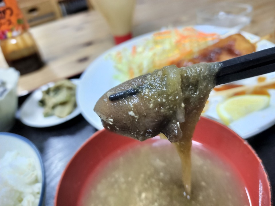 IMG20250325191341