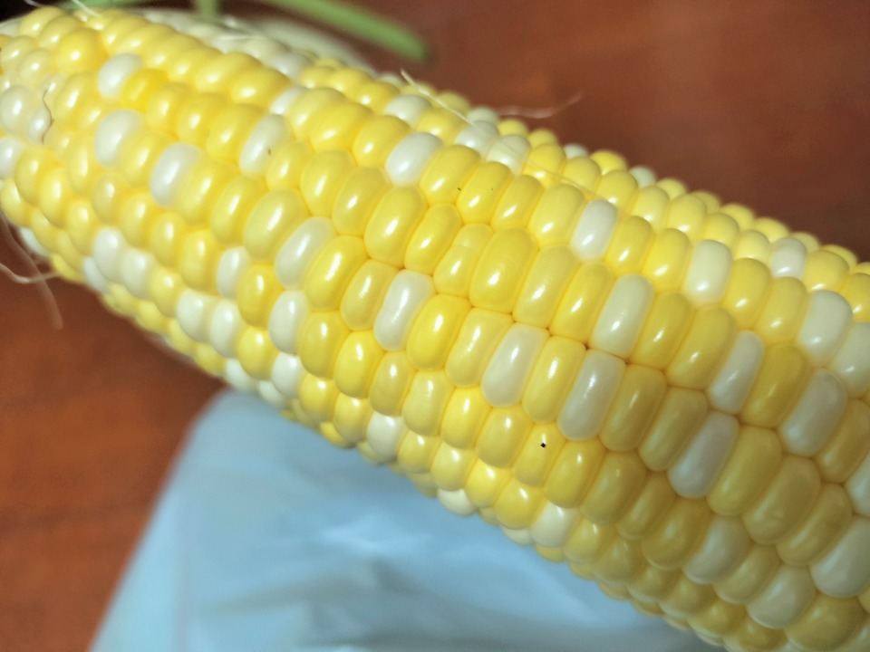 IMG20240815172049~2