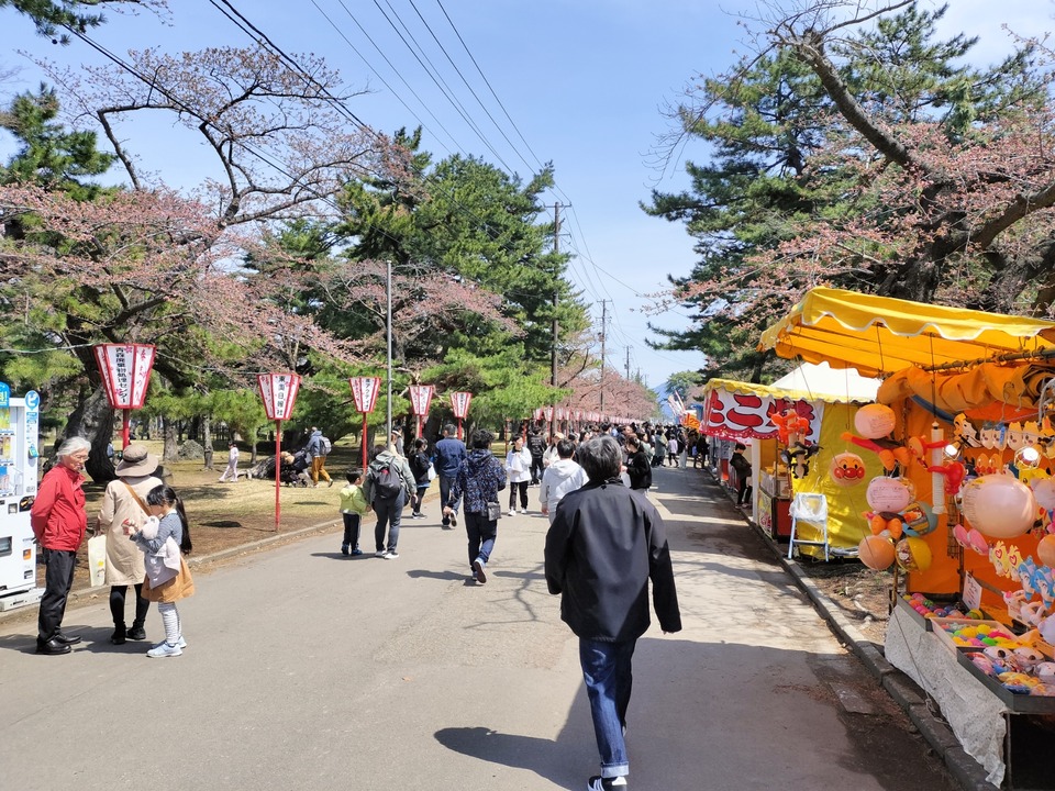 IMG20250419114120