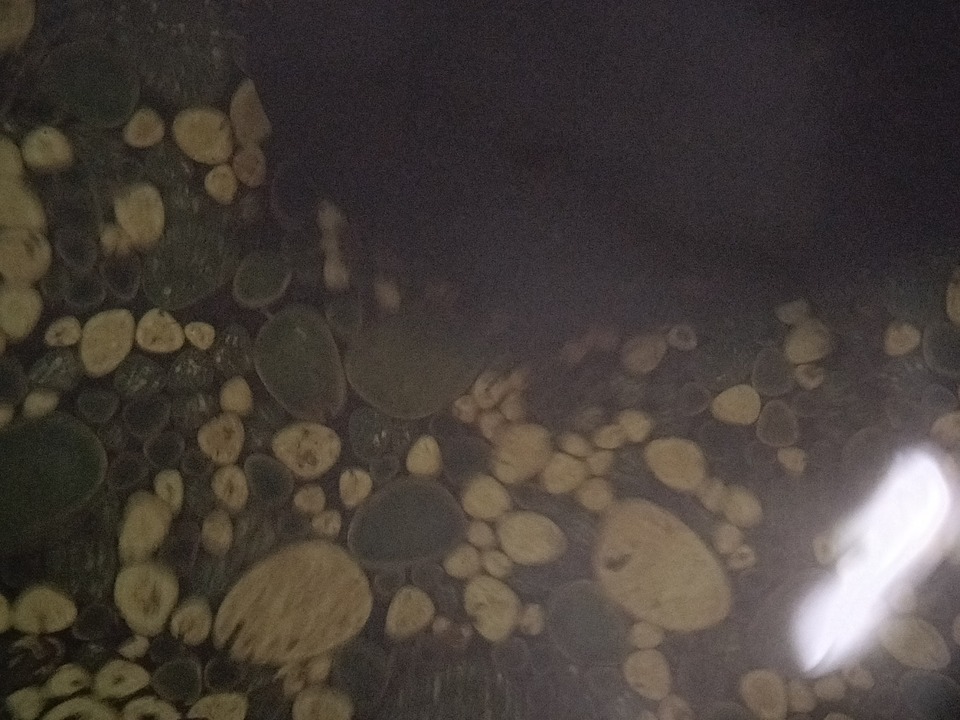 IMG20231209141327