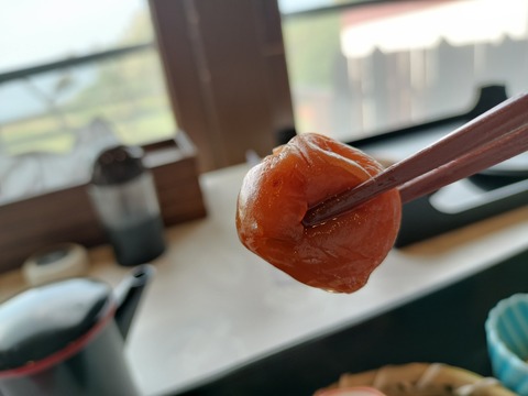 IMG20230527071247