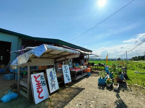 IMG20230723152100